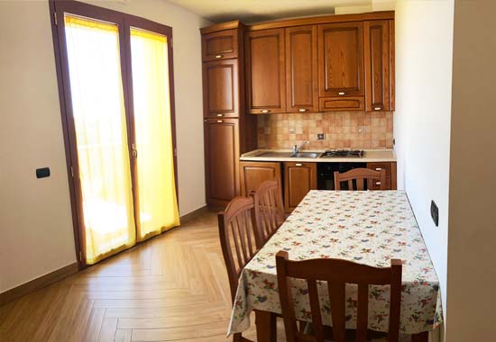 The kitchen of the apartments