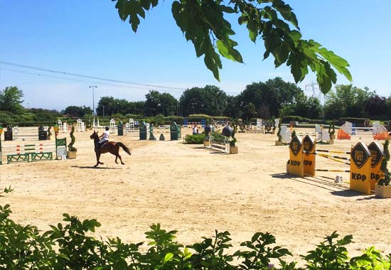 Horses Riviera Resort obstacle course