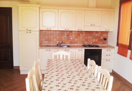 Kitchen in the apartment