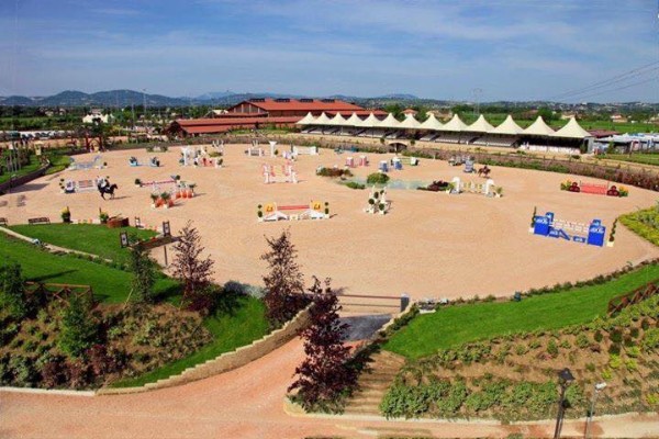 dog agility csen finale horses riviera resort